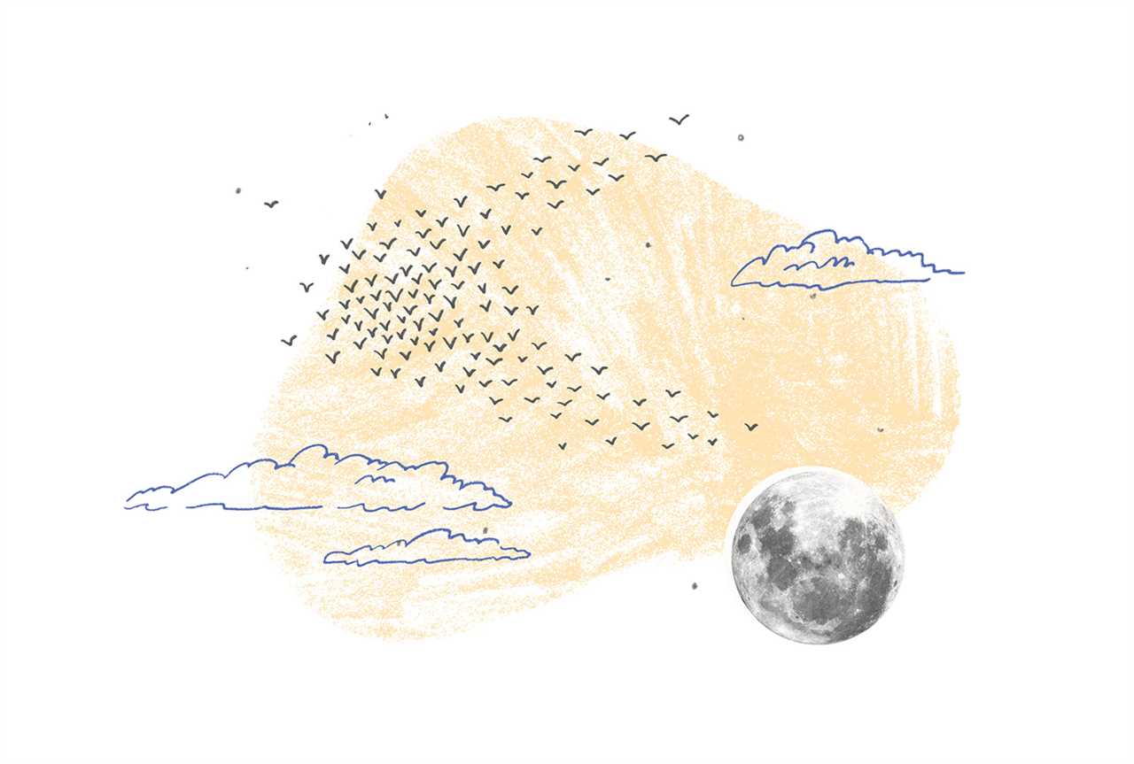 How To Help Teens Find Purpose Amid The Mental Health Crisis