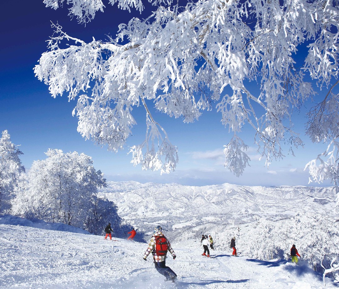 Boarders and skiers heading down a groomer at Nozawa Onsen Ski Resort.
