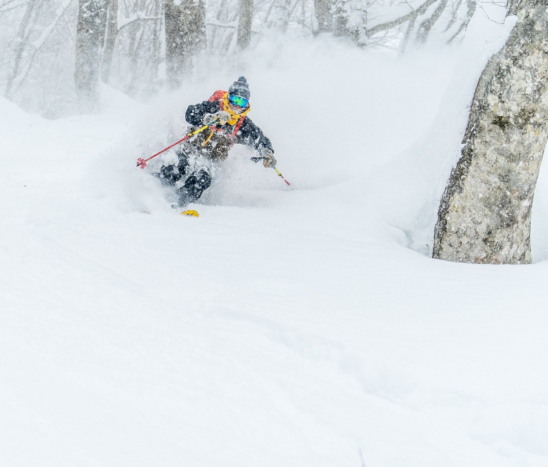 Skier heading down a deep powder glade in the Japanese Alps.