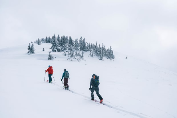 Backcountry Skiing Colorado's Seven Utes: Chasing Powder and Pondering Psilocybin