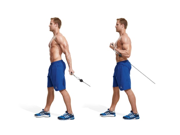 25 Best Forearm Exercises of All Time