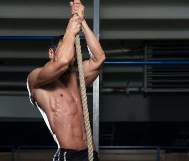 25 Best Forearm Exercises of All Time