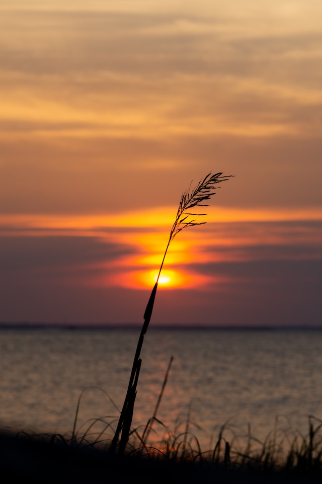 Visiting The Outer Banks For The First Time: Here Are 9 Must-Do Activities