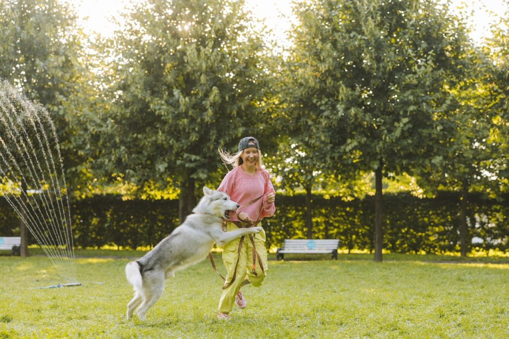 The Do’s and Don’ts of Dog Park Etiquette
