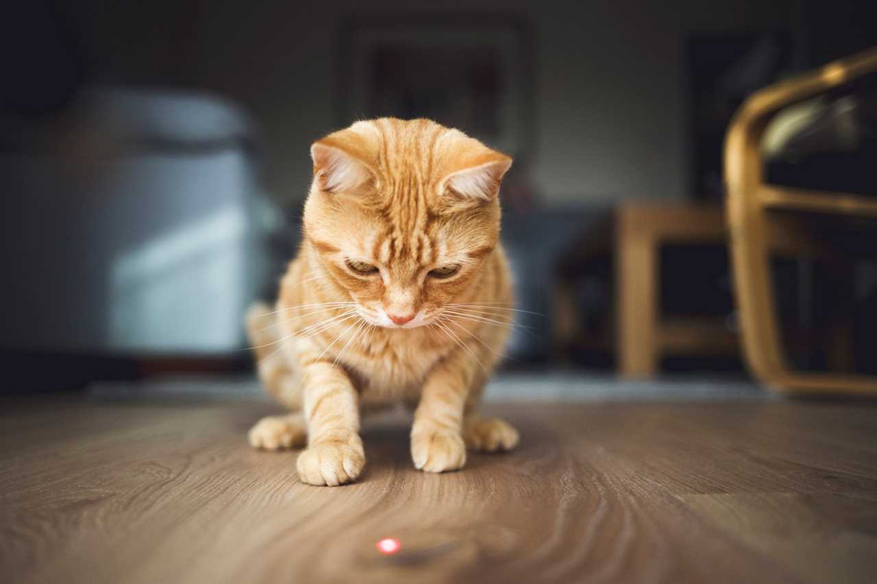 Laser play