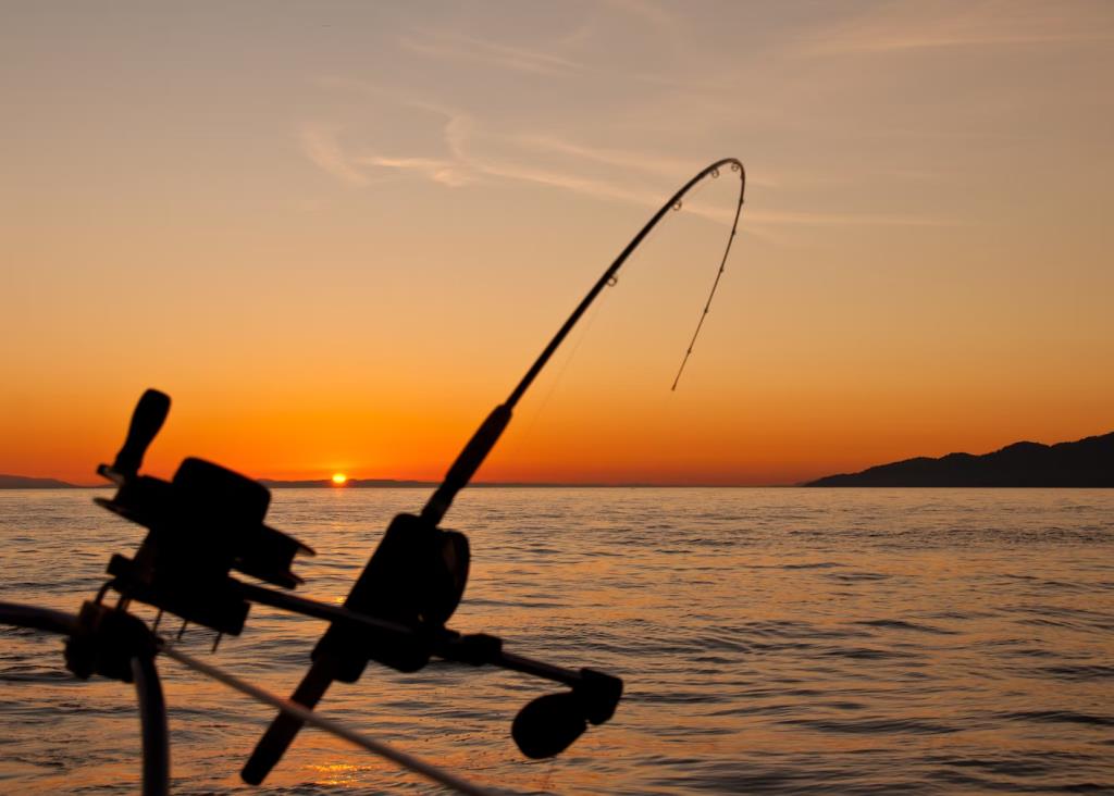From Novice to Pro: Transform Your Fishing Skills with a Charter Adventure