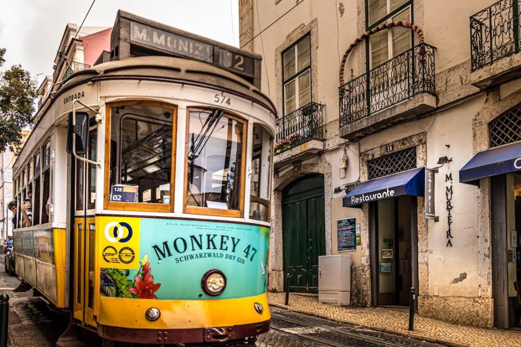 How Many Types of Visa Are Available in Portugal?