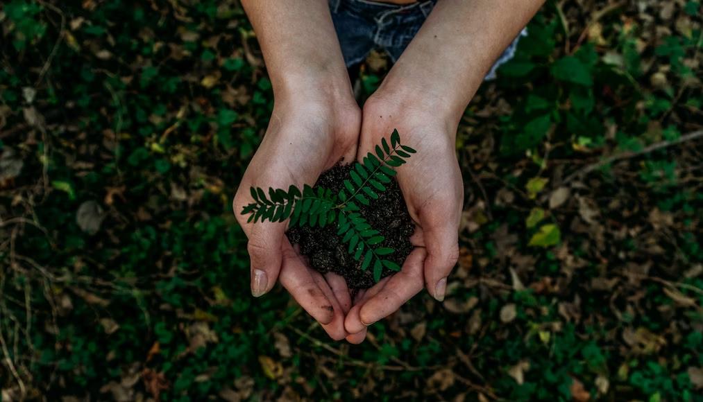 Addiction Treatment in Teens: What Works?
