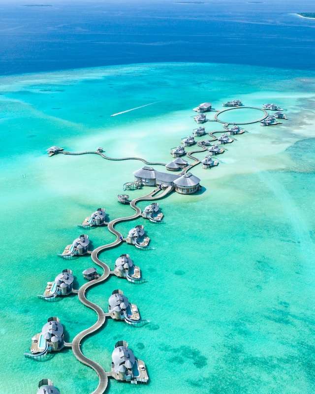 A Diver’s Dream: Discover the Best Dive Sites in the Maldives