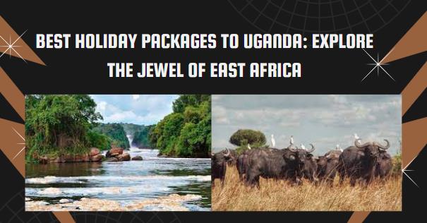 Best Holiday Packages to Uganda: Explore the Jewel of East Africa