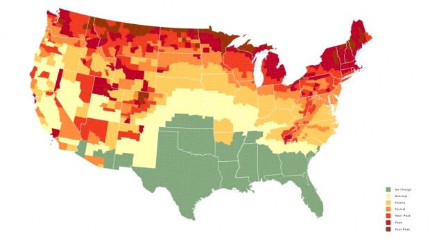 This Fall Foliage Map Takes the Guesswork Out of Leaf Peeping