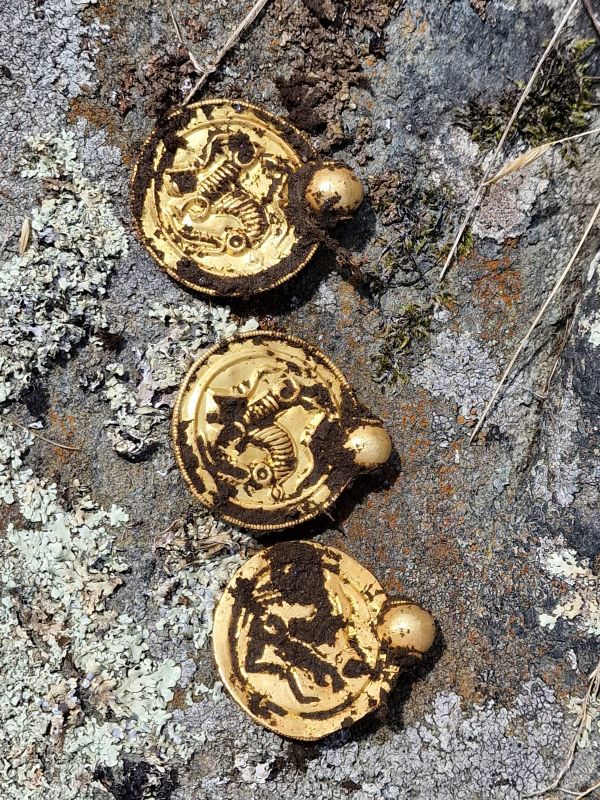 Amateur Metal Detectorist Makes 'Gold Find of the Century'