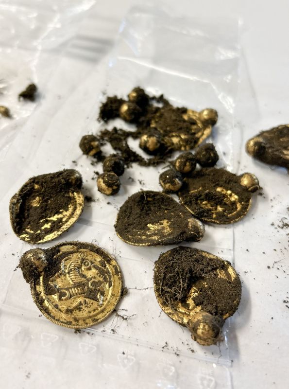 Amateur Metal Detectorist Makes 'Gold Find of the Century'