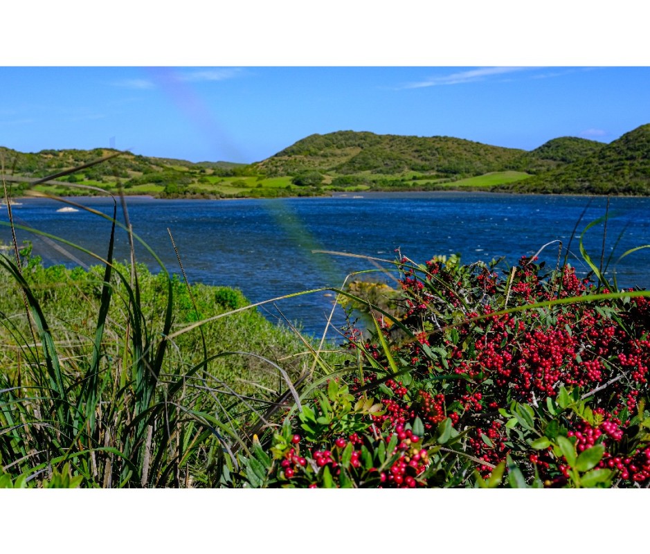 Mediterranean's Top Travel Destination of 2024: Where to Go