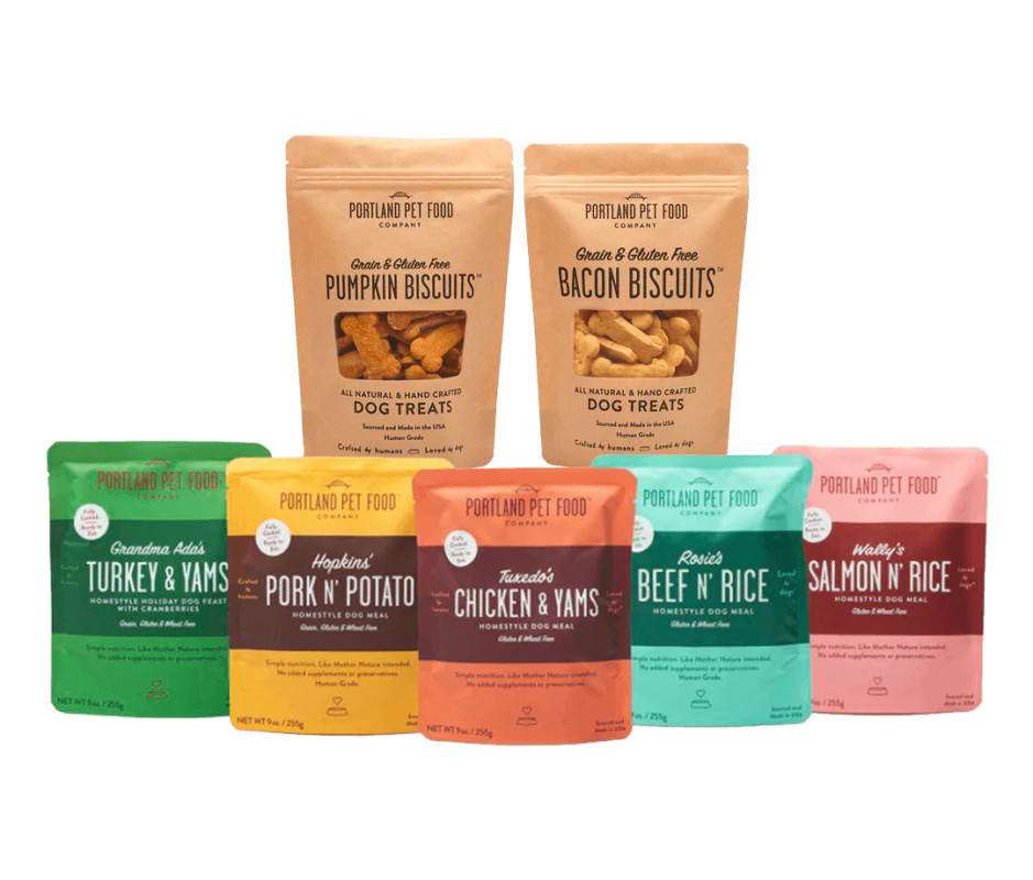 The Best Dog Camping Gear: 19 Essentials for Active Dogs