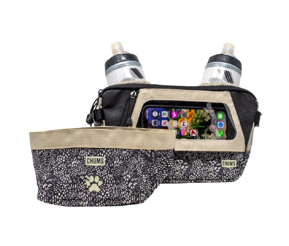 The Best Dog Camping Gear: 19 Essentials for Active Dogs