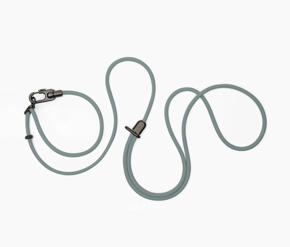 The Best Dog Camping Gear: 19 Essentials for Active Dogs