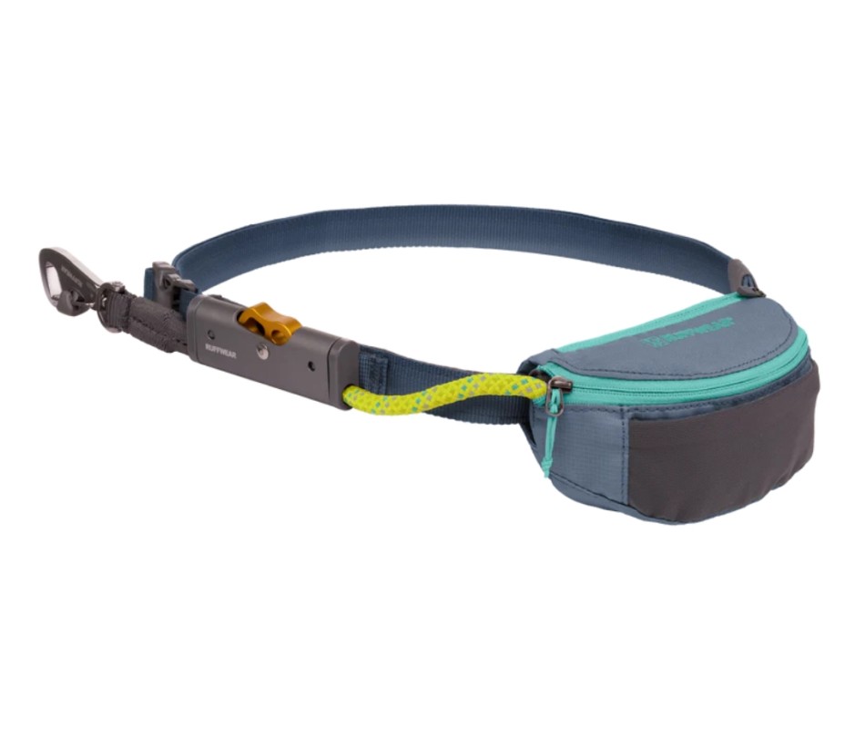 The Best Dog Camping Gear: 19 Essentials for Active Dogs