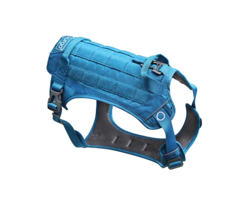 The Best Dog Camping Gear: 19 Essentials for Active Dogs