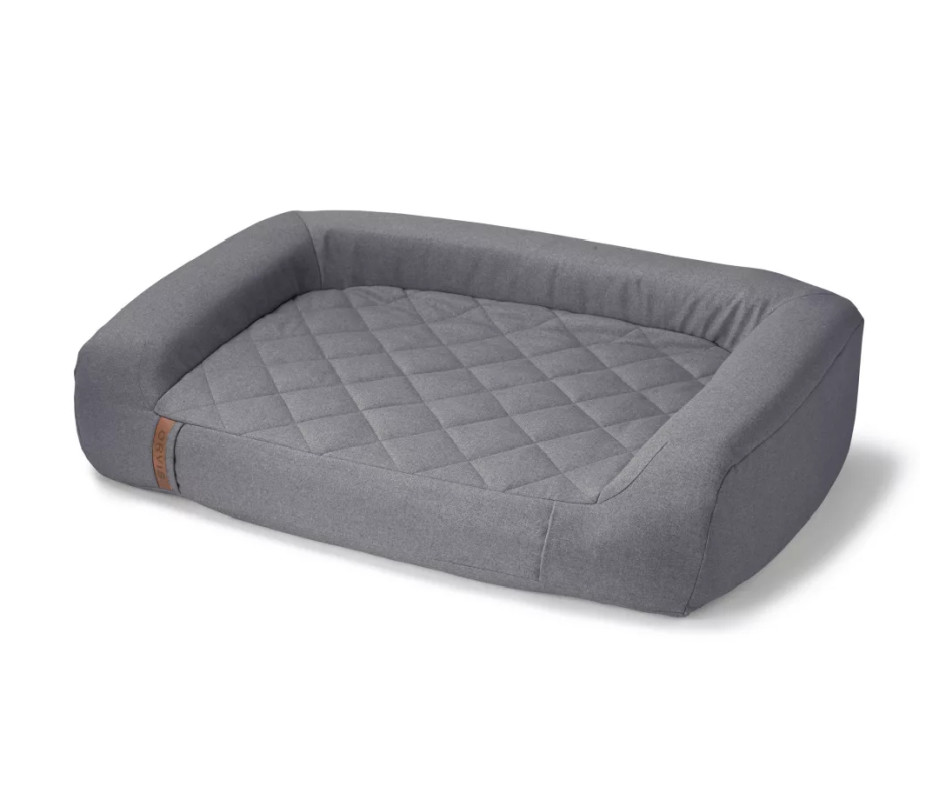 The Best Dog Camping Gear: 19 Essentials for Active Dogs