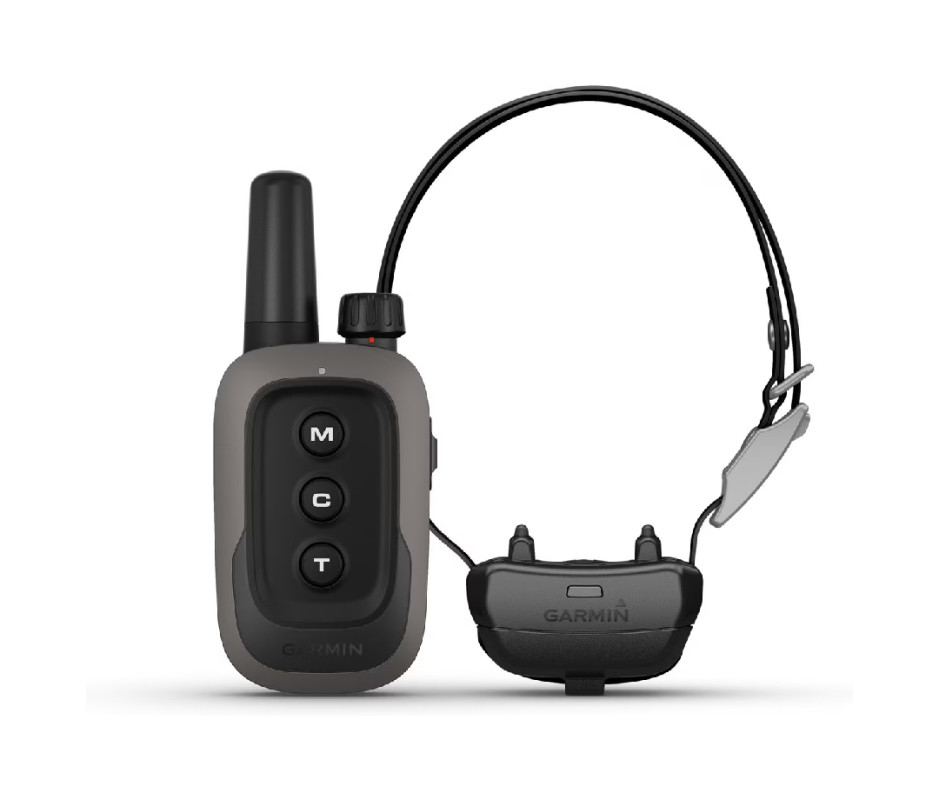 The Best Dog Camping Gear: 19 Essentials for Active Dogs