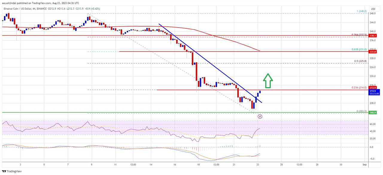 BNB Price Prediction