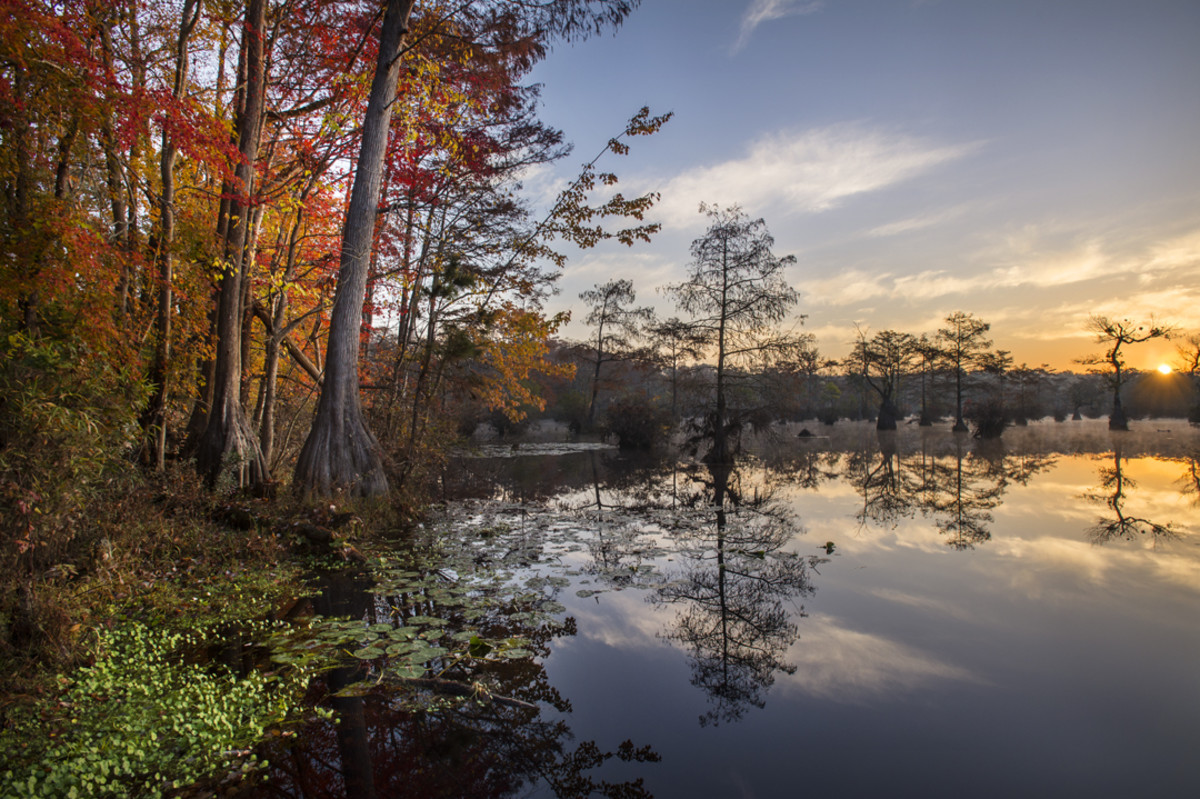 Best Fall Foliage Destinations Away From the Crowds