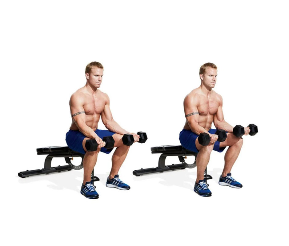 30 Best Dumbbell Exercises of All Time