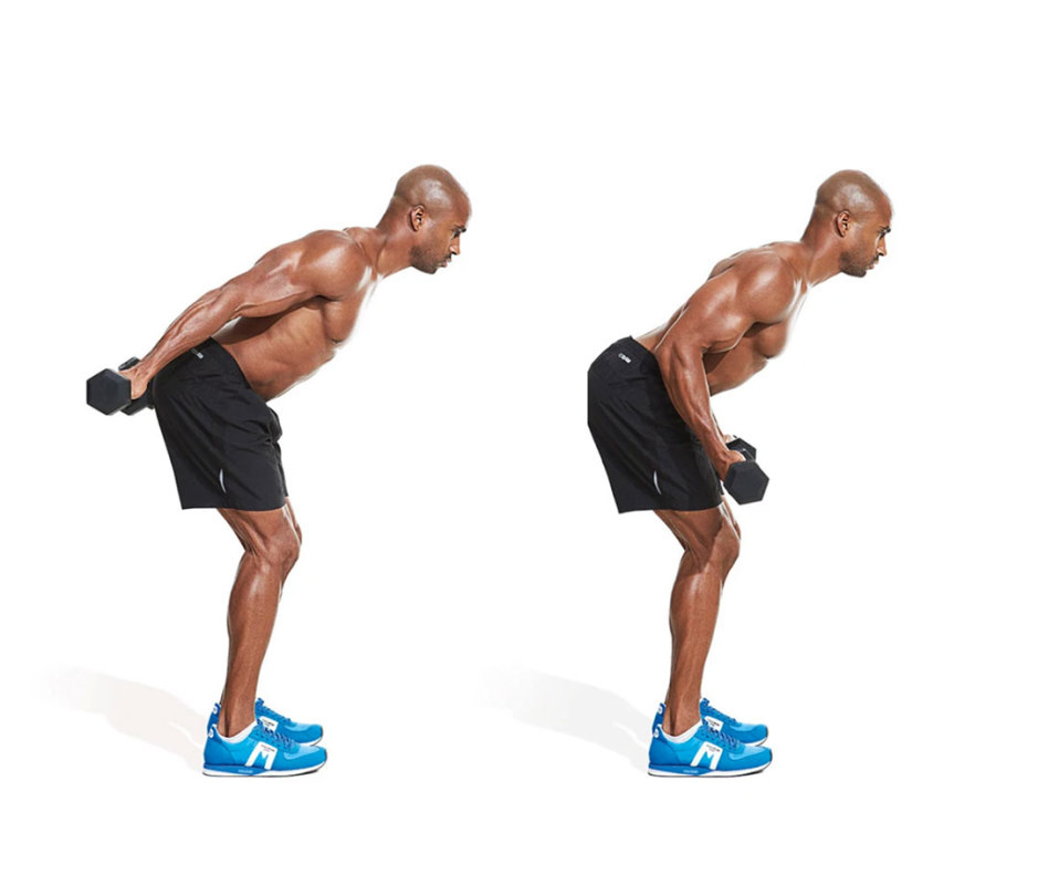 30 Best Dumbbell Exercises of All Time