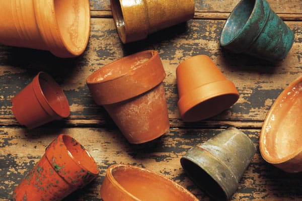 container gardening - find containers