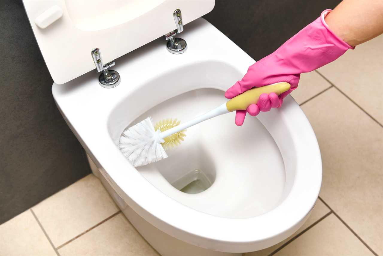 Hand with pink glove holding toilet scrub near toilet bowl.
