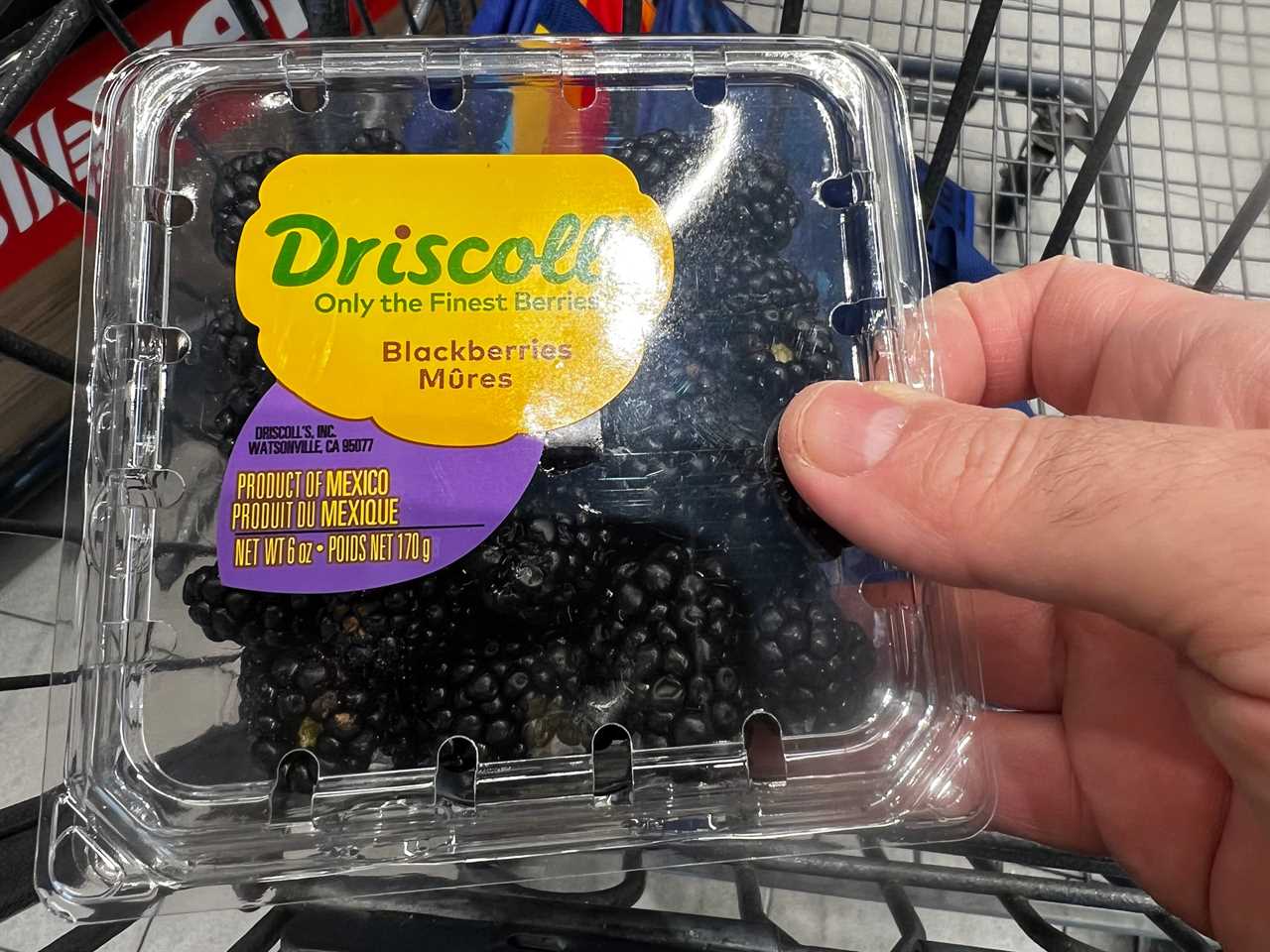 A hand holding a container of Driscoll's blackberries.