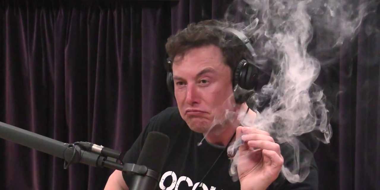 elon musk joe rogan weed