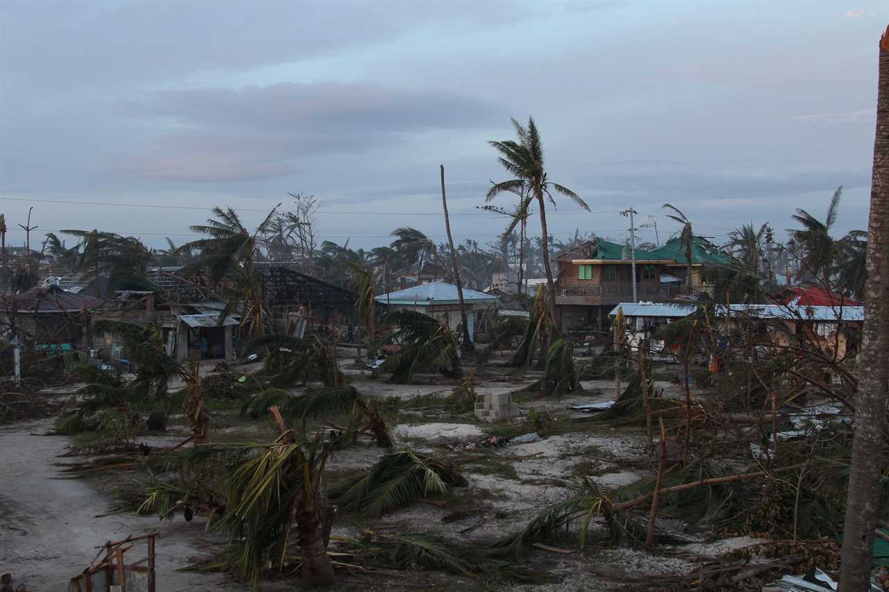 Trees snapped in half and roofs of building stripped after a tropical storm.