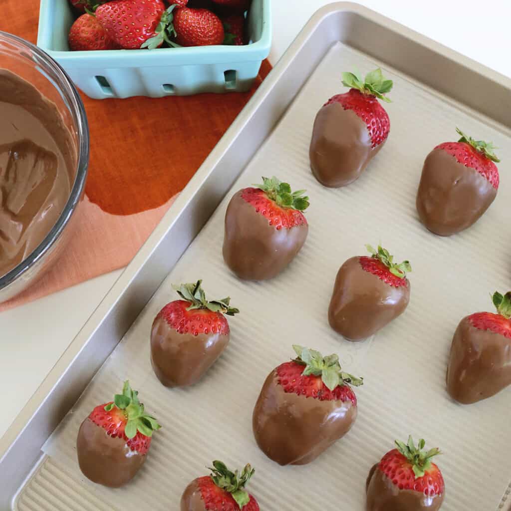 Valentine’s Day Crafts -for Kids and Adults