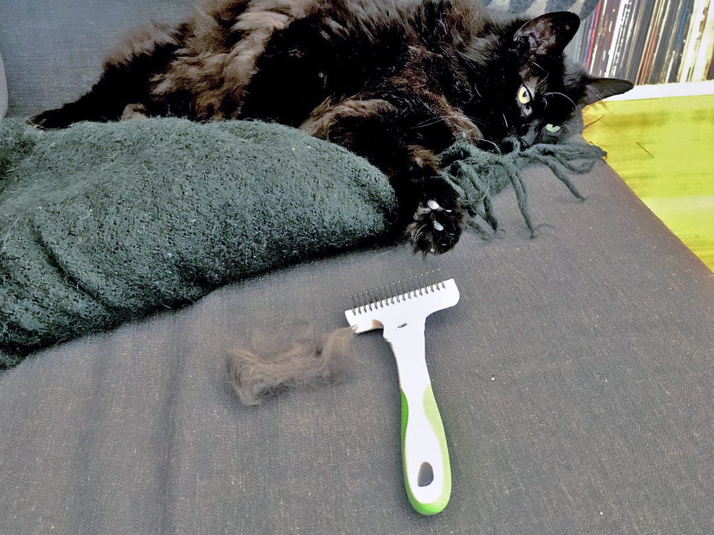 A black cat is lying beside the Andis Deshedding Tool alongside a pile of loose fur.