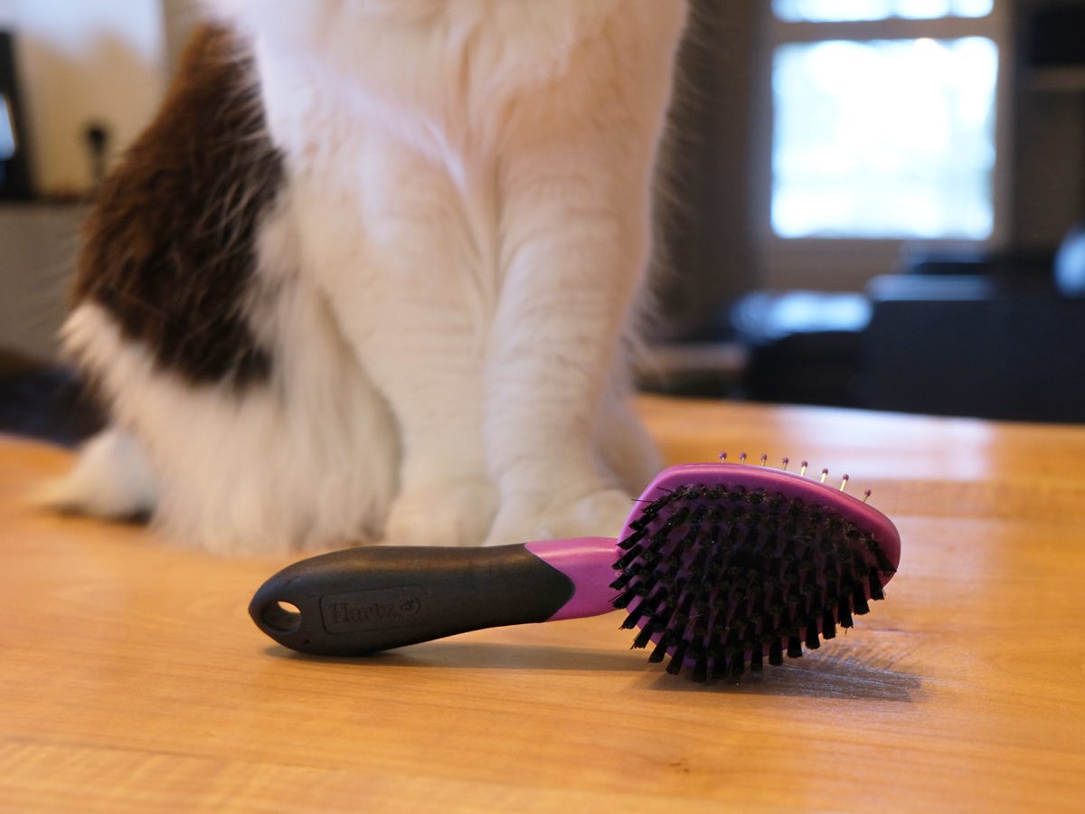 The Hartz Combo Brush is sitting on a table in front of a white and gray long-haired cat.