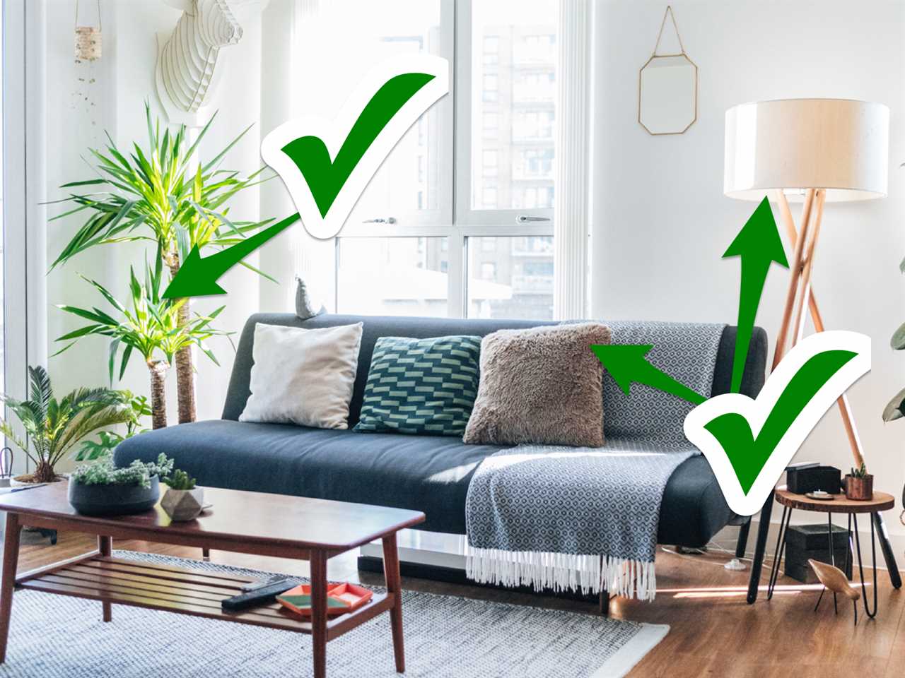 Home with blue couch and plants with green arrows and checkmarks pointing to plants, throw pillows, and light fixture