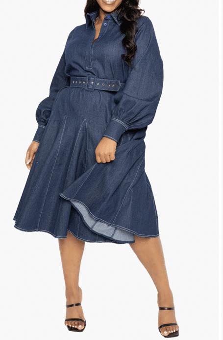 Belted Long Sleeve Denim Shirtdress