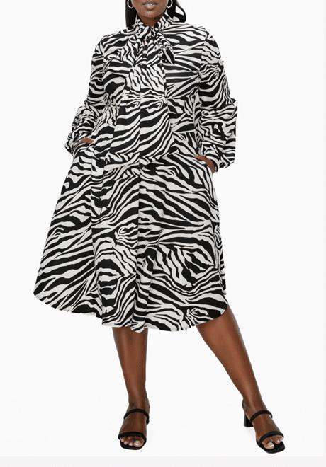 Monáe Zebra Print Pocket Flare Dress from Pennington’s