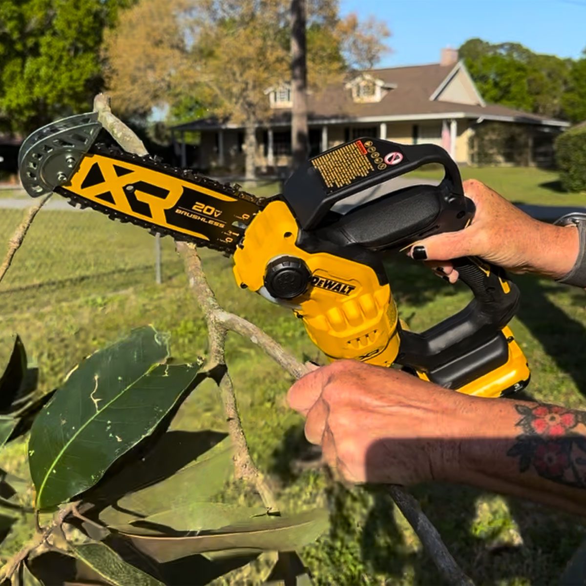 Dewalt chain saw