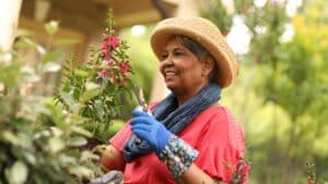 Sustainable Gardening Maximizing Your Garden's Potential