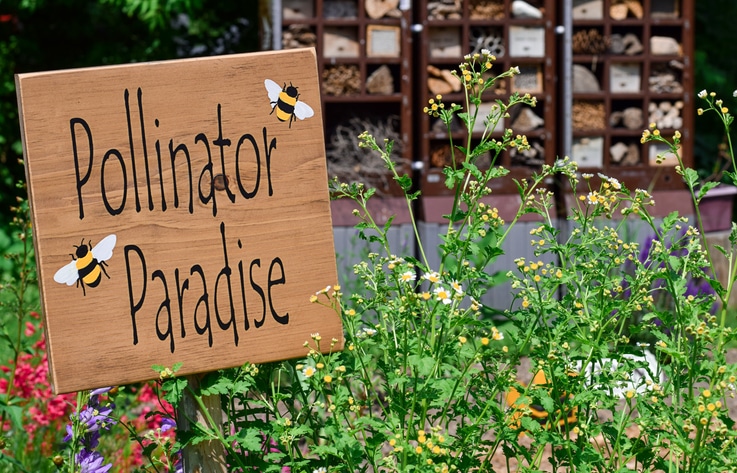 Sustainable Gardening: Maximizing Your Garden’s Potential