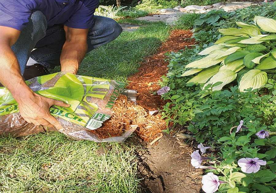 Ditch Plastic Landscape Edging for Natural Mulch