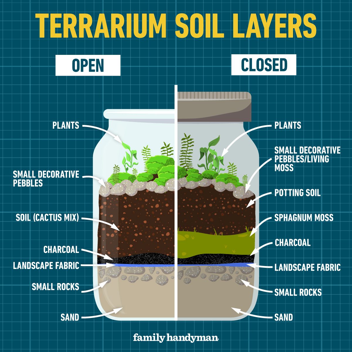 Terrarium soil layers graphic