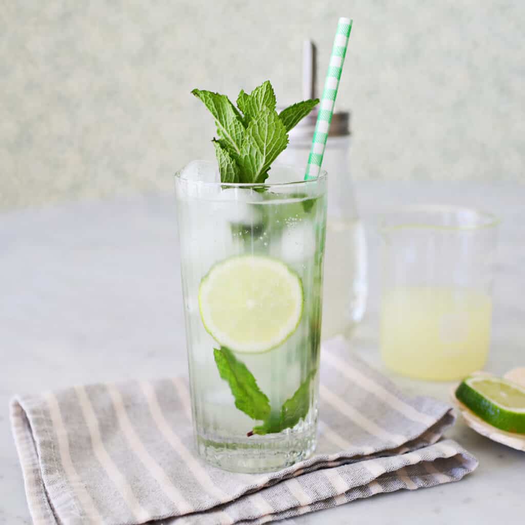 32+ Mocktail Recipes